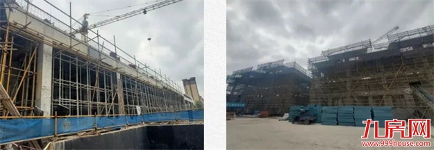 臻品生活家｜春意款款，一纸家书唤美好如常——九房网