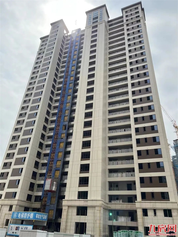 臻品生活家｜春意款款，一纸家书唤美好如常——九房网