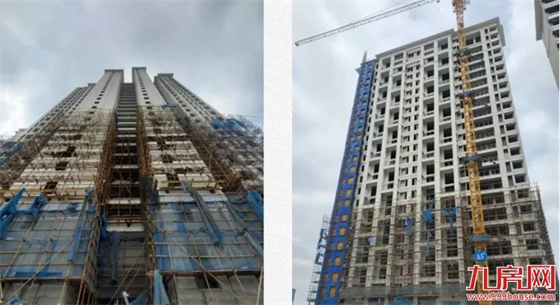 臻品生活家｜春意款款，一纸家书唤美好如常——九房网