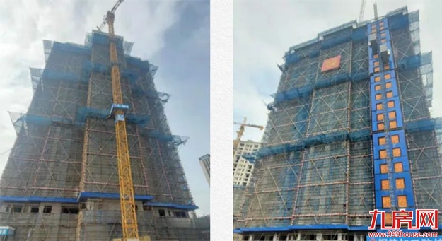 臻品生活家｜春意款款，一纸家书唤美好如常——九房网