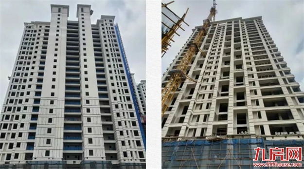 臻品生活家｜春意款款，一纸家书唤美好如常——九房网