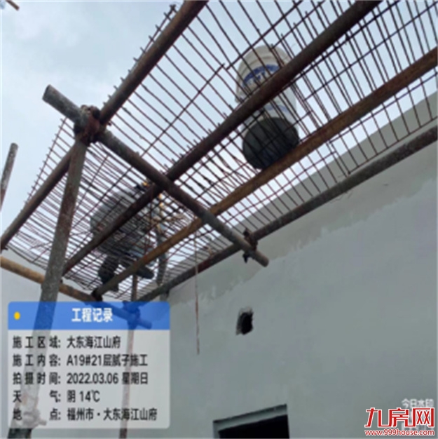 臻品生活家｜春意款款，一纸家书唤美好如常——九房网