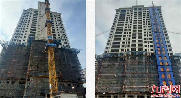 臻品生活家｜春意款款，一纸家书唤美好如常——九房网