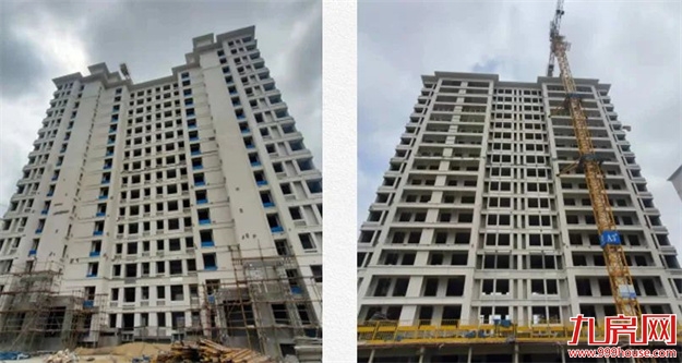 臻品生活家｜春意款款，一纸家书唤美好如常——九房网