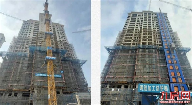 臻品生活家｜春意款款，一纸家书唤美好如常——九房网