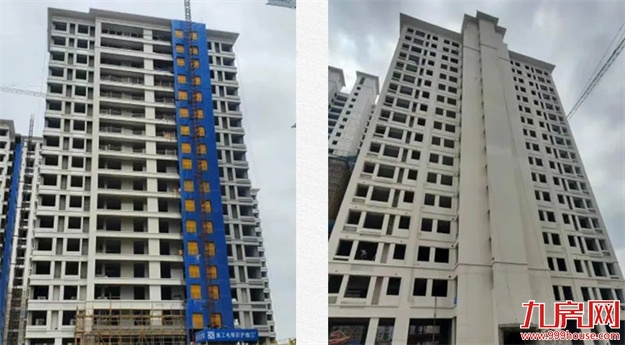 臻品生活家｜春意款款，一纸家书唤美好如常——九房网