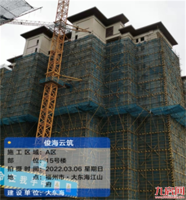 臻品生活家｜春意款款，一纸家书唤美好如常——九房网