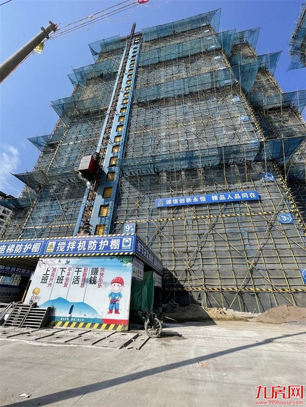 臻品生活家｜春意款款，一纸家书唤美好如常——九房网