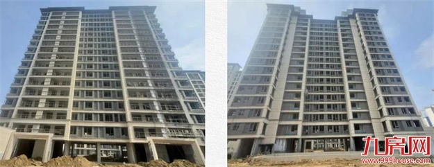 臻品生活家｜春意款款，一纸家书唤美好如常——九房网