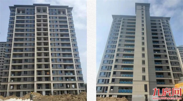 臻品生活家｜春意款款，一纸家书唤美好如常——九房网