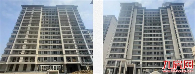 臻品生活家｜春意款款，一纸家书唤美好如常——九房网