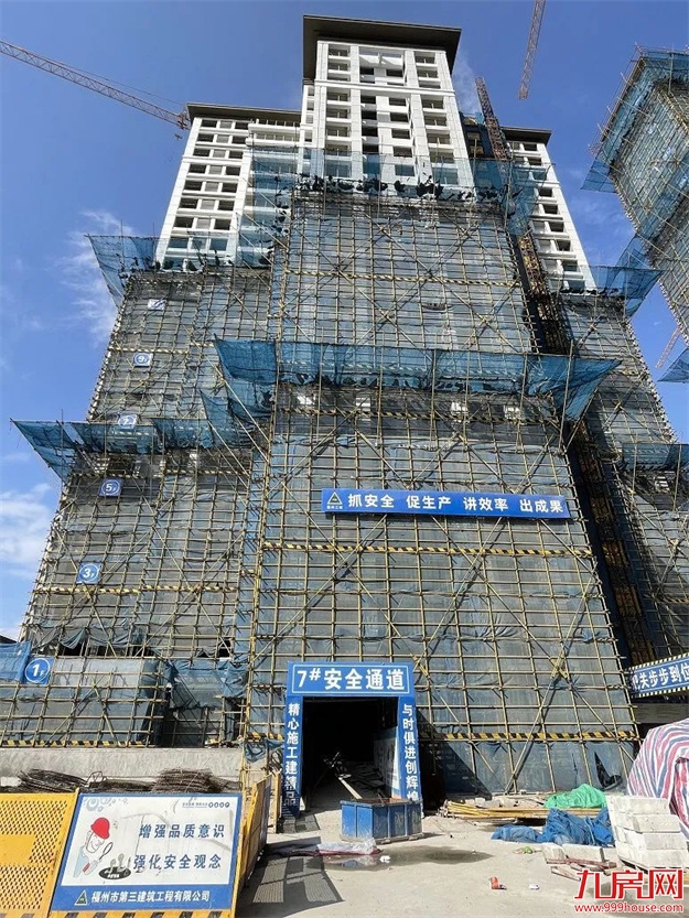 臻品生活家｜春意款款，一纸家书唤美好如常——九房网