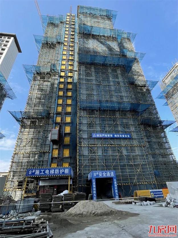 臻品生活家｜春意款款，一纸家书唤美好如常——九房网