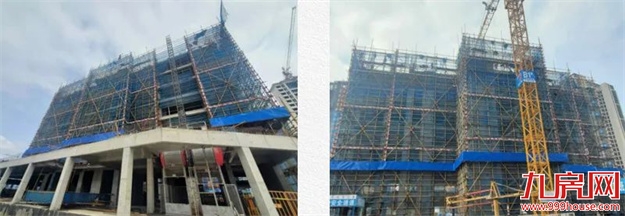 臻品生活家｜春意款款，一纸家书唤美好如常——九房网