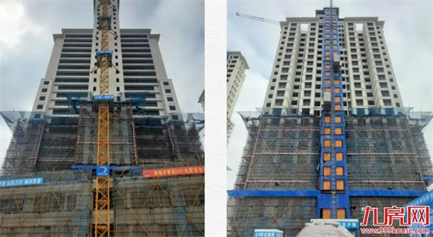 臻品生活家｜春意款款，一纸家书唤美好如常——九房网