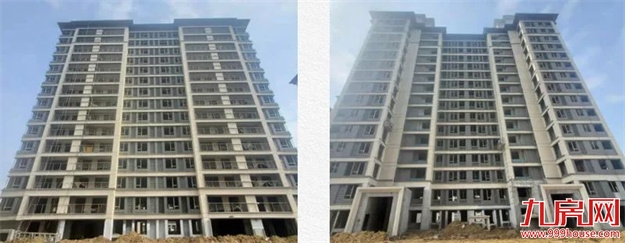 臻品生活家｜春意款款，一纸家书唤美好如常——九房网