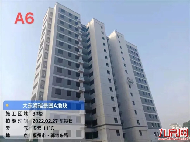 臻品生活家｜春意款款，一纸家书唤美好如常——九房网