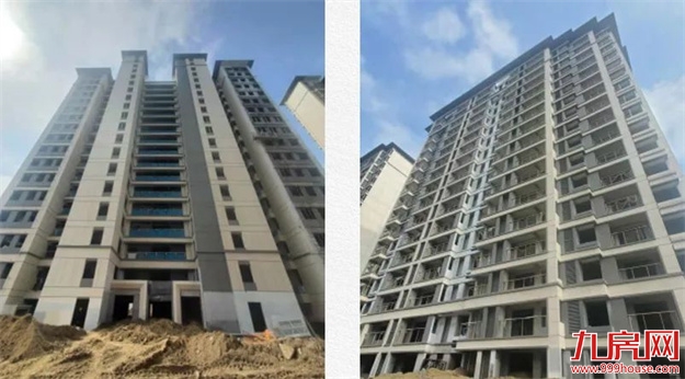 臻品生活家｜春意款款，一纸家书唤美好如常——九房网