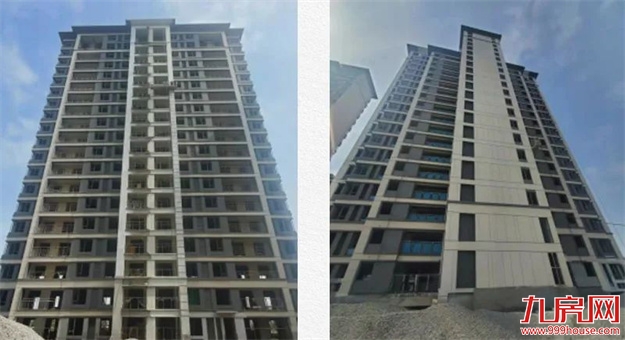 臻品生活家｜春意款款，一纸家书唤美好如常——九房网