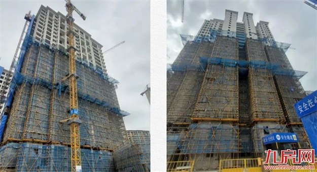 臻品生活家｜春意款款，一纸家书唤美好如常——九房网