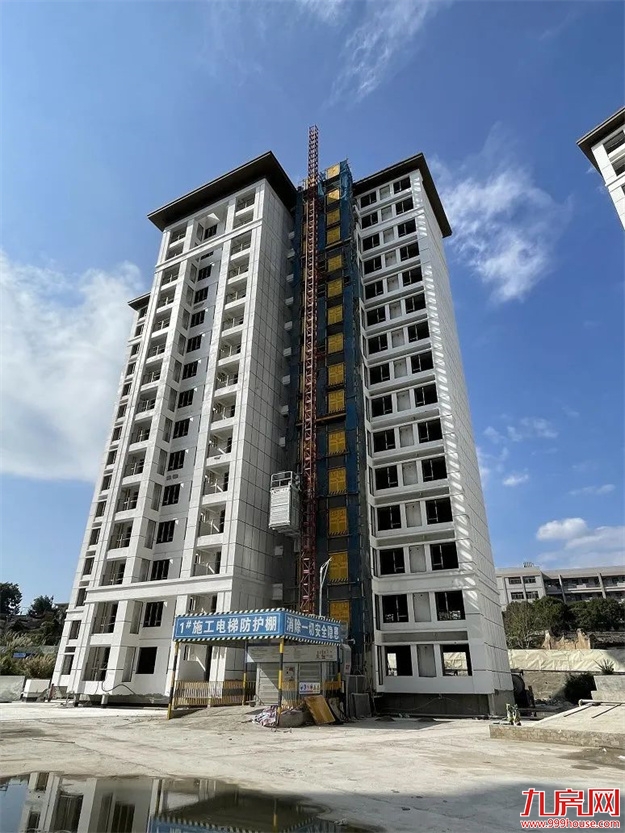 臻品生活家｜春意款款，一纸家书唤美好如常——九房网