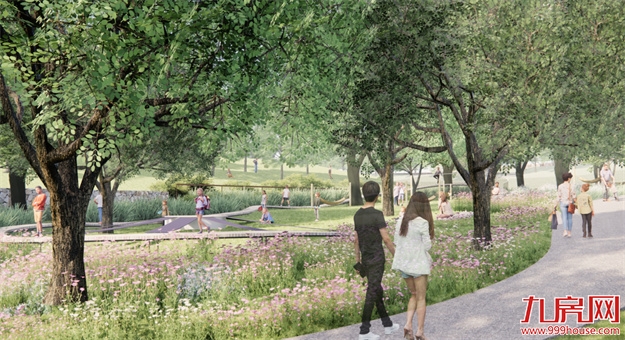 登云湖×张唐景观联手打造，再造一座城市绿谷里的欢乐园——云海森自然探索乐园——九房网