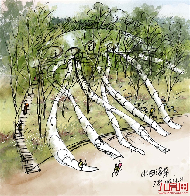 登云湖×张唐景观联手打造，再造一座城市绿谷里的欢乐园——云海森自然探索乐园——九房网