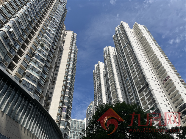 实探!房价连跌3个月!有房降6千/㎡!岛内这片区不香了?——九房网 实探!房价连跌3个月!有房降6千/㎡!岛内这片区不香了?——九房网