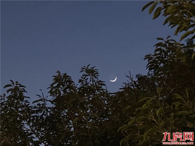 定了!约在今晚!——九房网 定了!约在今晚!——九房网