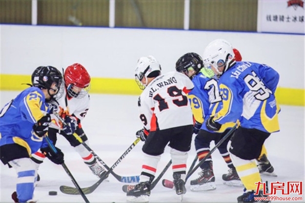 专“暑”福利,真冰门票免费送!——九房网 专“暑”福利,真冰门票免费送!——九房网