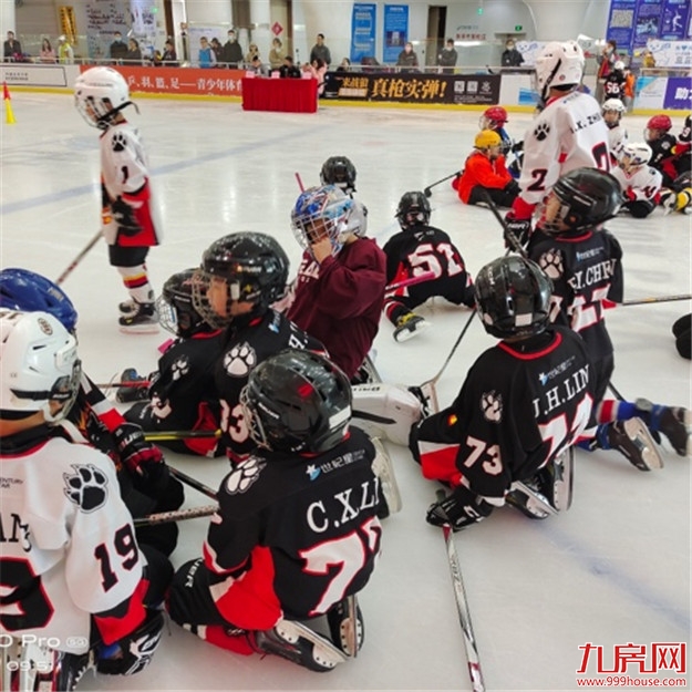 专“暑”福利,真冰门票免费送!——九房网 专“暑”福利,真冰门票免费送!——九房网