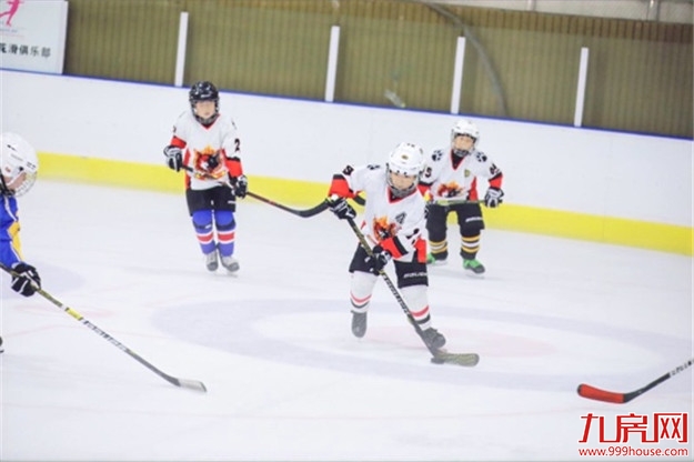 专“暑”福利,真冰门票免费送!——九房网 专“暑”福利,真冰门票免费送!——九房网