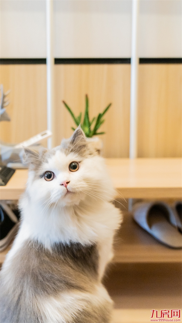 厦门房产,厦门房地产,厦门新房,九房网,厦门房产 厦门房产,厦门房地产,厦门新房,九房网,厦门房产